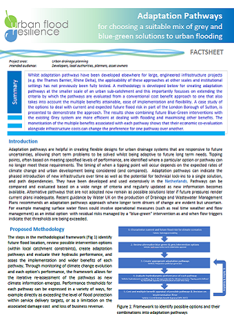 Factsheet Adaptation Pathways for Urban Flood Risk Management