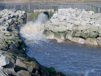 A photograph of floodwater flowing from a sewer outflow