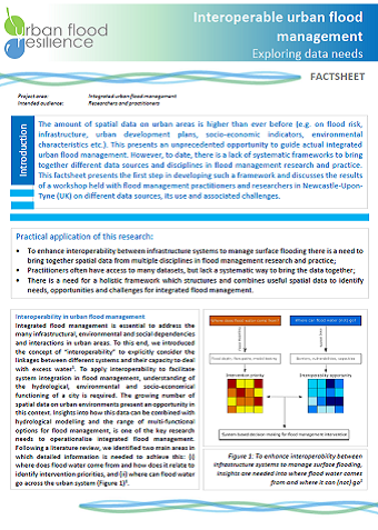 Interoperability data needs factsheet (first page)