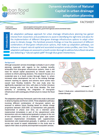 Natural Capital Factsheet first page