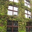 A photograph of a green wall in Paris, France