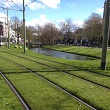 A photograph of a green tram tracks in Rotterdam, the Netherlands