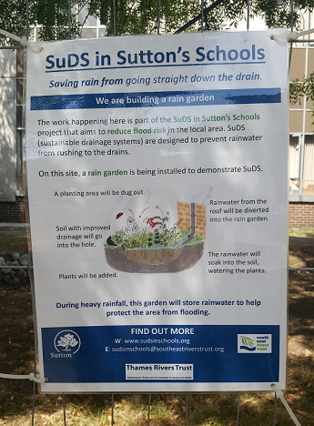 SuttonSchoolsSuDS