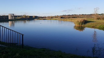 Pond at North West Cambridge Development Site